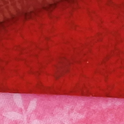 100% crop from Nikon J5 test image taken at ISO 160