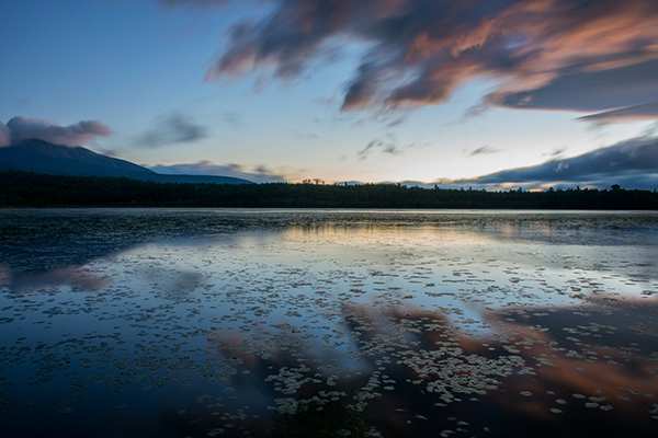 Nikon J5 Field Test -- Gallery Image