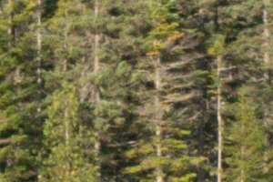 Nikon J5 Field Test -- Noise Test Image
