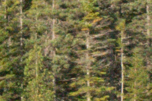Nikon J5 Field Test -- Noise Test Image