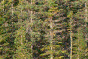 Nikon J5 Field Test -- Noise Test Image