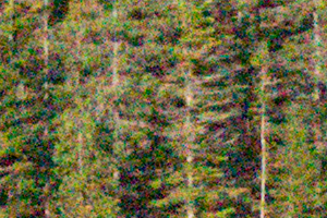 Nikon J5 Field Test -- Noise Test Image