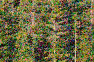 Nikon J5 Field Test -- Noise Test Image