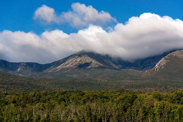 Nikon J5 Field Test -- Gallery Image