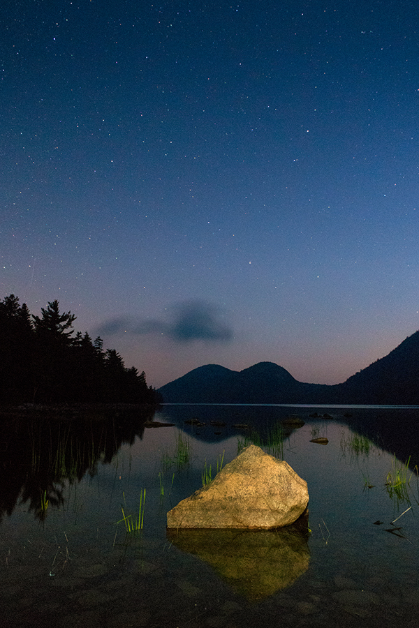 Nikon J5 Field Test -- Gallery Image