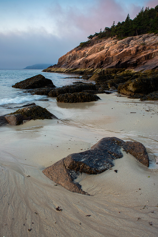 Nikon J5 Field Test -- Gallery Image