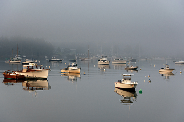 Nikon J5 Field Test -- Gallery Image