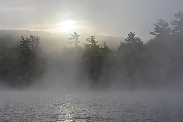 Nikon J5 Field Test -- Gallery Image