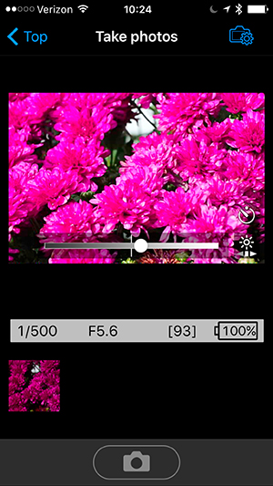 Nikon J5 Field Test -- WMU Screenshot