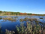 Click to see Y-JG-DSCN0203-24mm.JPG