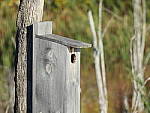 Click to see Y-JG-DSCN0204-3000mm.JPG