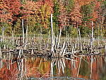 Click to see Y-JG-DSCN0334.JPG