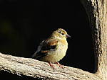 Click to see Y-JG-DSCN0392.JPG