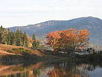 Click to see Y-JG-DSCN0465.JPG