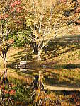 Click to see Y-JG-DSCN0472.JPG