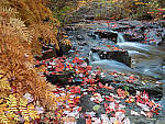 Click to see Y-JG-DSCN0529-MOD.JPG
