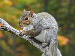 Click to see Y-JG-DSCN0589.JPG