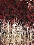 Click to see Y-JG-DSCN0702.JPG