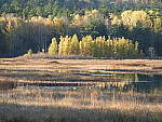 Click to see Y-JG-DSCN0877.JPG