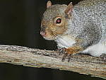 Click to see Y-JG-DSCN0986.JPG