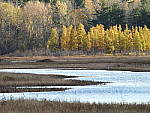 Click to see Y-JG-DSCN1097.JPG