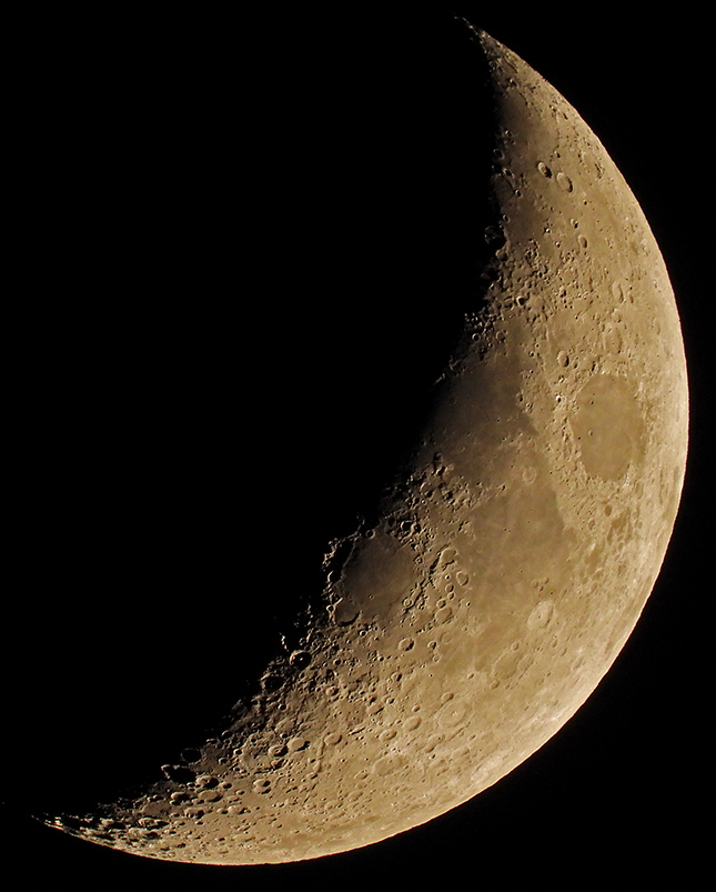 Nikon P1000 - Sample Image