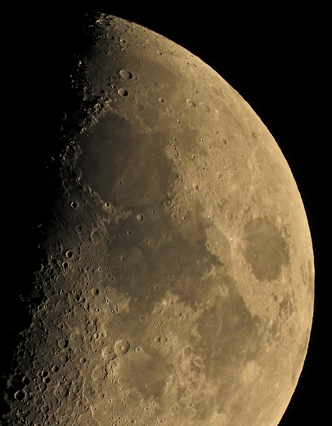 Nikon P1000 - Sample Image