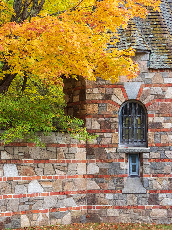 Nikon P1000 Review: Field Test -- Gallery Image