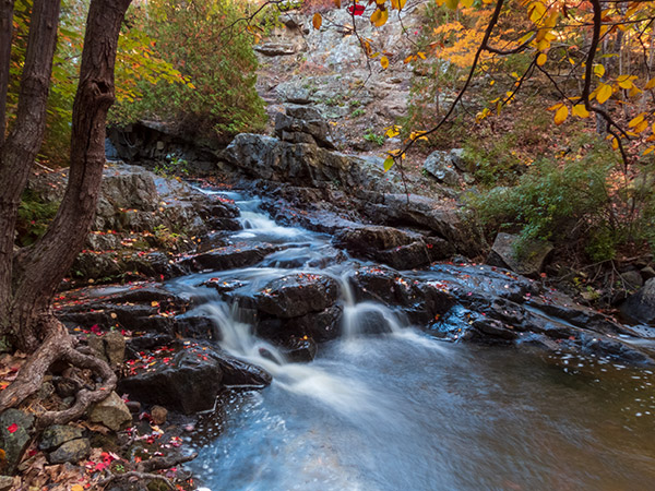 Nikon P1000 Review: Field Test -- Gallery Image