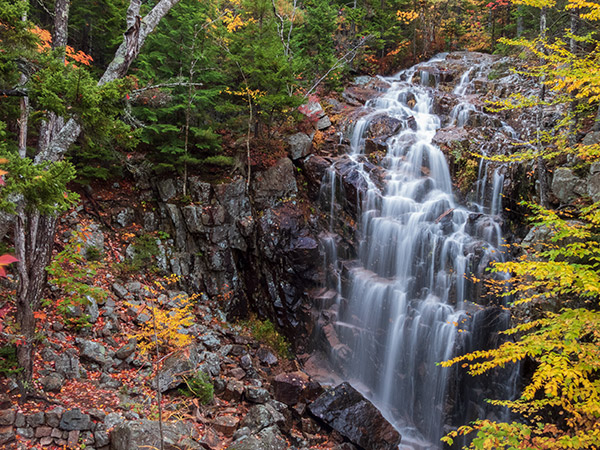 Nikon P1000 Review: Field Test -- Gallery Image