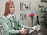 Click to see P340INBMP3.JPG