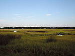 Click to see Y-A-DSCN0131.JPG