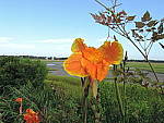 Click to see Y-A-DSCN0148.JPG