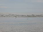 Click to see Y-DSCN0045.JPG