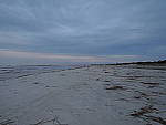 Click to see Y-DSCN0083.JPG