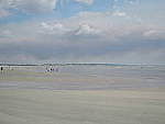 Click to see Y-DSCN0233.JPG