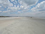 Click to see Y-DSCN0271.JPG