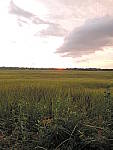 Click to see Y-DSCN0345.JPG