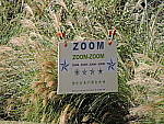 Click to see Y-P600-DSCN9839-Tri.JPG