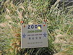 Click to see Y-P600-DSCN9840-HH-NoIS.JPG