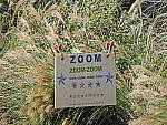 Click to see Y-P600-DSCN9850-HH-WithIS.JPG