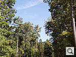 Click to see P7700PINE_ACRu300r03.JPG