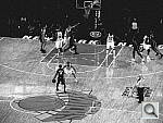 Click to see YDSCN0173.JPG