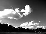 Click to see YDSCN0029.JPG