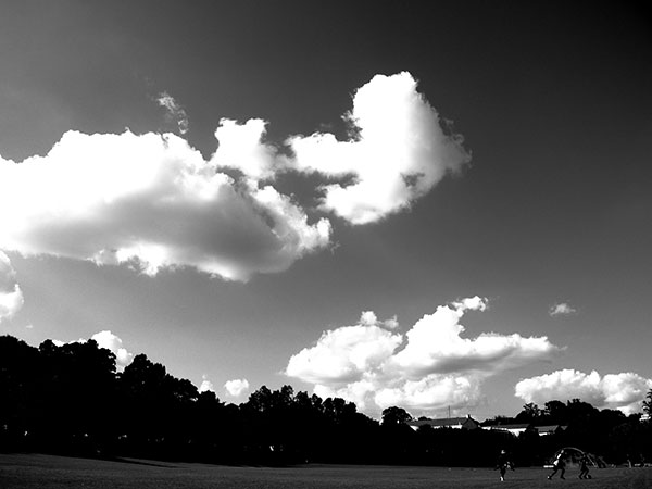 Nikon P7800  Review -- Gallery image