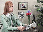Click to see P900INBMP2.JPG
