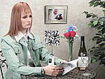 Click to see P900INBMP3.JPG