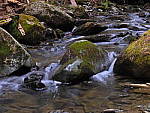 Click to see Y-A-JG-1101.JPG