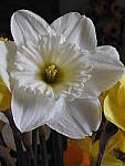 Click to see Y-D-JG_ISO-400.JPG