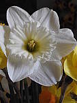 Click to see Y-D-JG_ISO-800.JPG